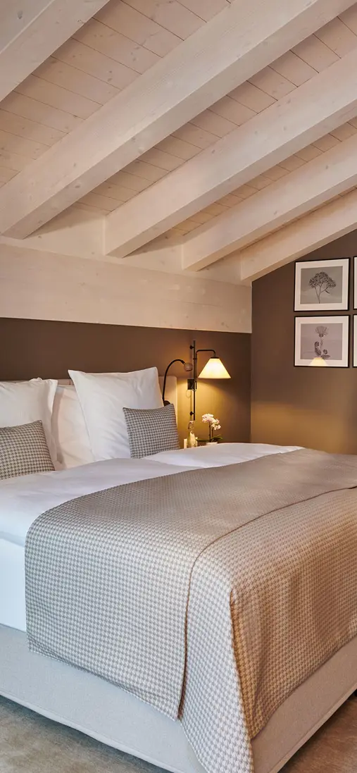 Schloss Zermatt Rooms Schlosshouse Rooftop Houseroom 141 01