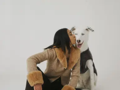 Dog Hotel Zermatt